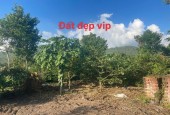 MỞ BÁN LÔ ĐẤT F0 SIÊU PHẨM , ĐẤT NGHỈ DƯỠNG TẠI ĐẠI ĐÌNH – TAM ĐẢO VĨNH PHÚC